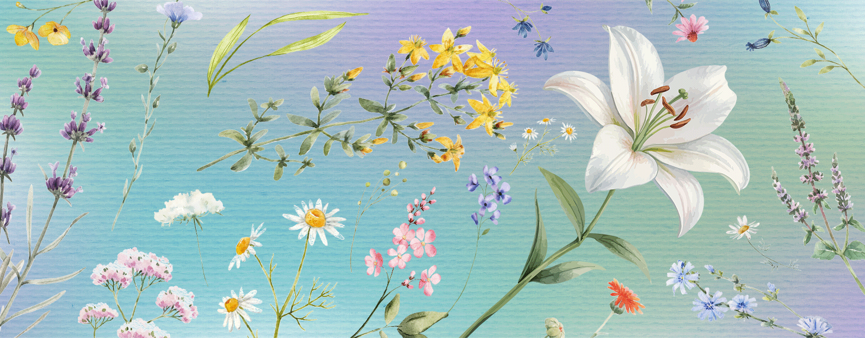 bloomBannerDownsized